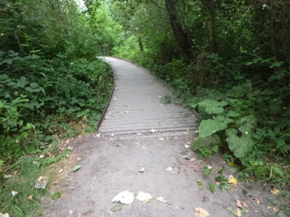 Transition from natural surface trail to bird blind boardwalk may have a lip